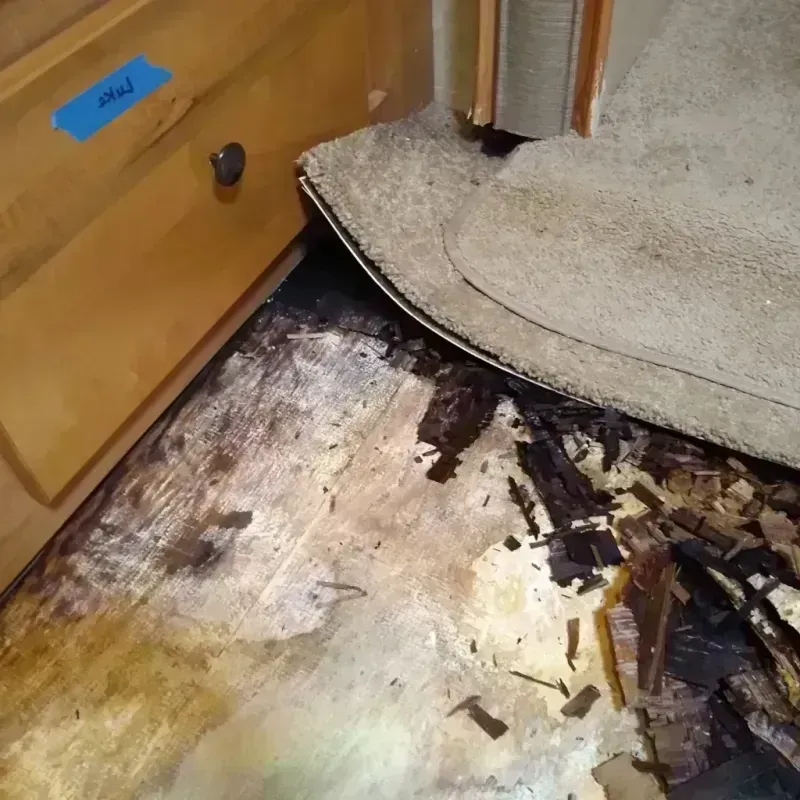 Best Wood Floor Water Damage Service in Braddock Heights, MD